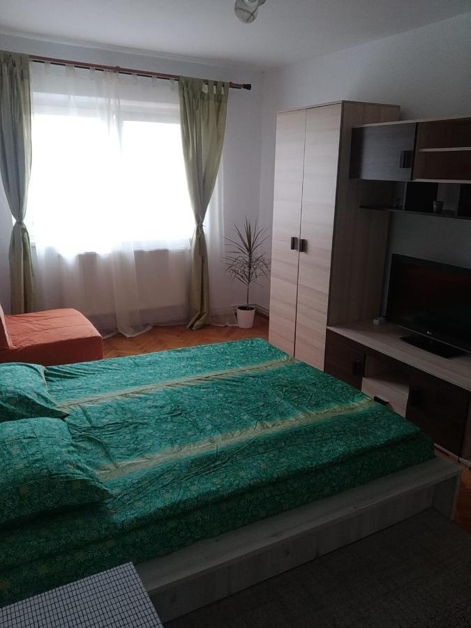 Апартаменти Apartament Erik Сібіу Екстер'єр фото